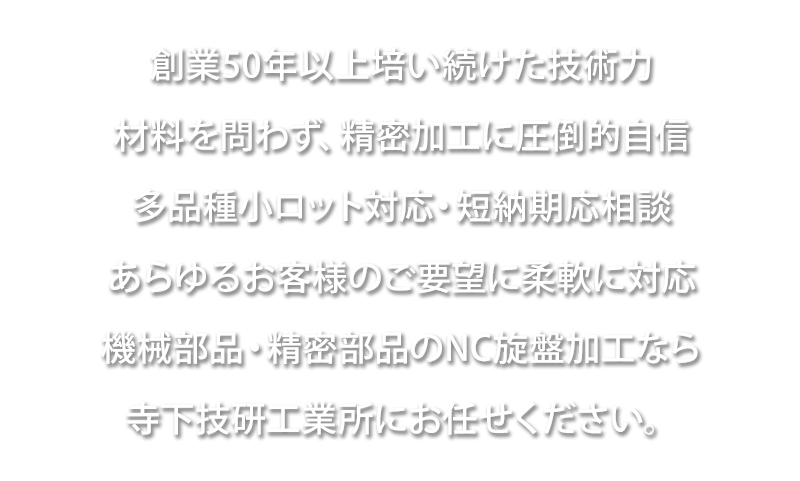 有限会社寺下技研工業所